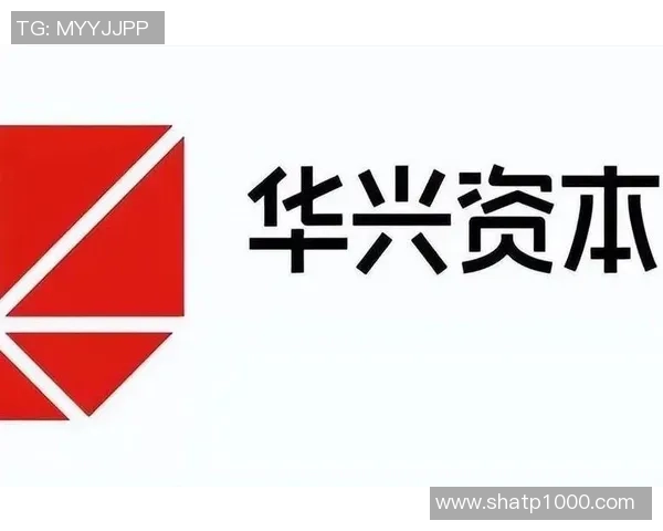 北京篮球队意识提升之路：从团队协作到战术创新的深度分析