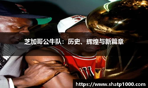 芝加哥公牛队：历史、辉煌与新篇章